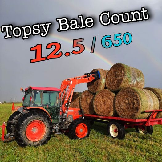 Topsy Farms tweet media