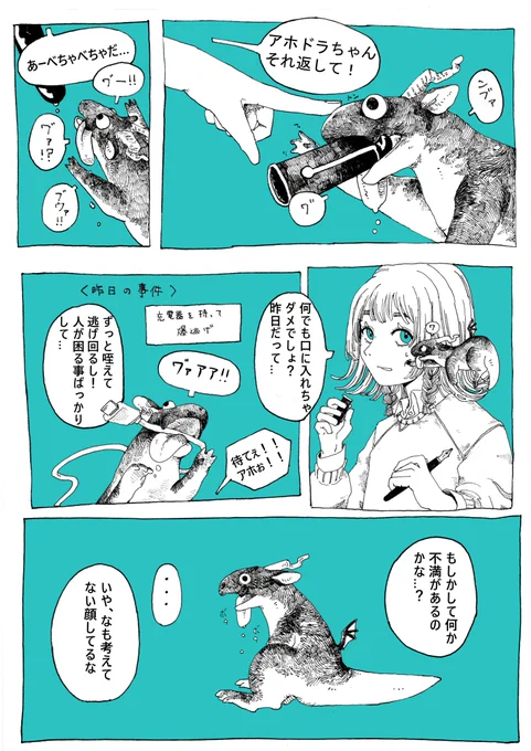 アホドラゴンの飼育日記
毎日てんやわんや 