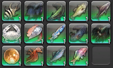 FkadaNozomi's tweet photo. #fishpride https://t.co/VqoxzY4mtt