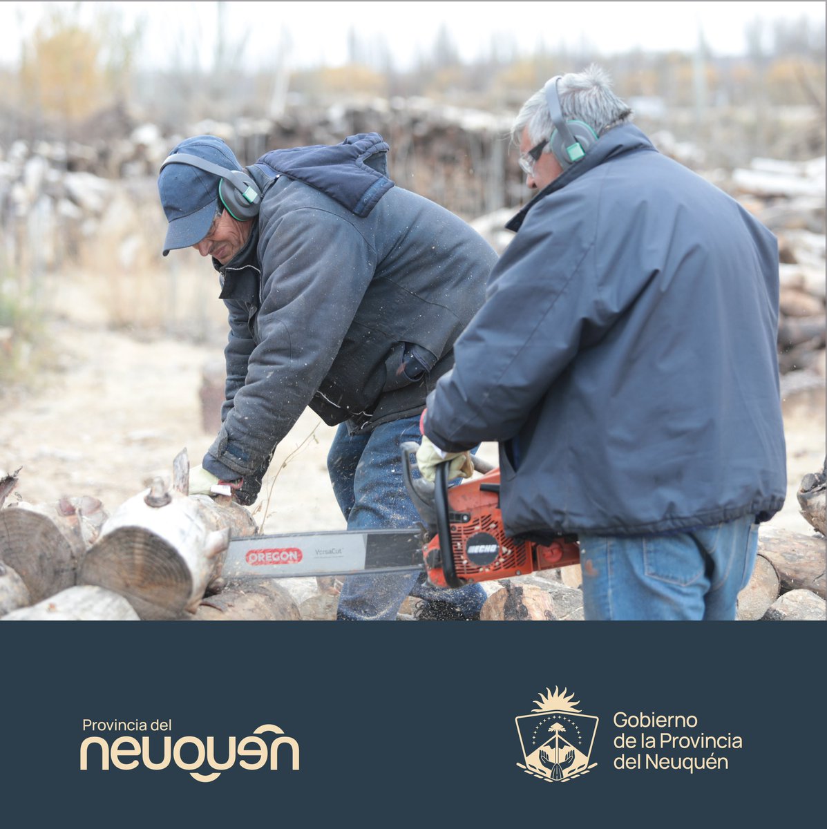 Mingobiernonqn's tweet photo. #PlanCalor Ya se repartieron más de 215 mil kg de leña en barrios de la ciudad de Neuquén a familias que requieren esta prestación.
El operativo a cargo de la Subse de Gobierno es articulado con las comisiones vecinales.
+info: https://t.co/mqGyPcpnPl
#MinisterioGobiernoNeuquén https://t.co/cGpXiuiTGL