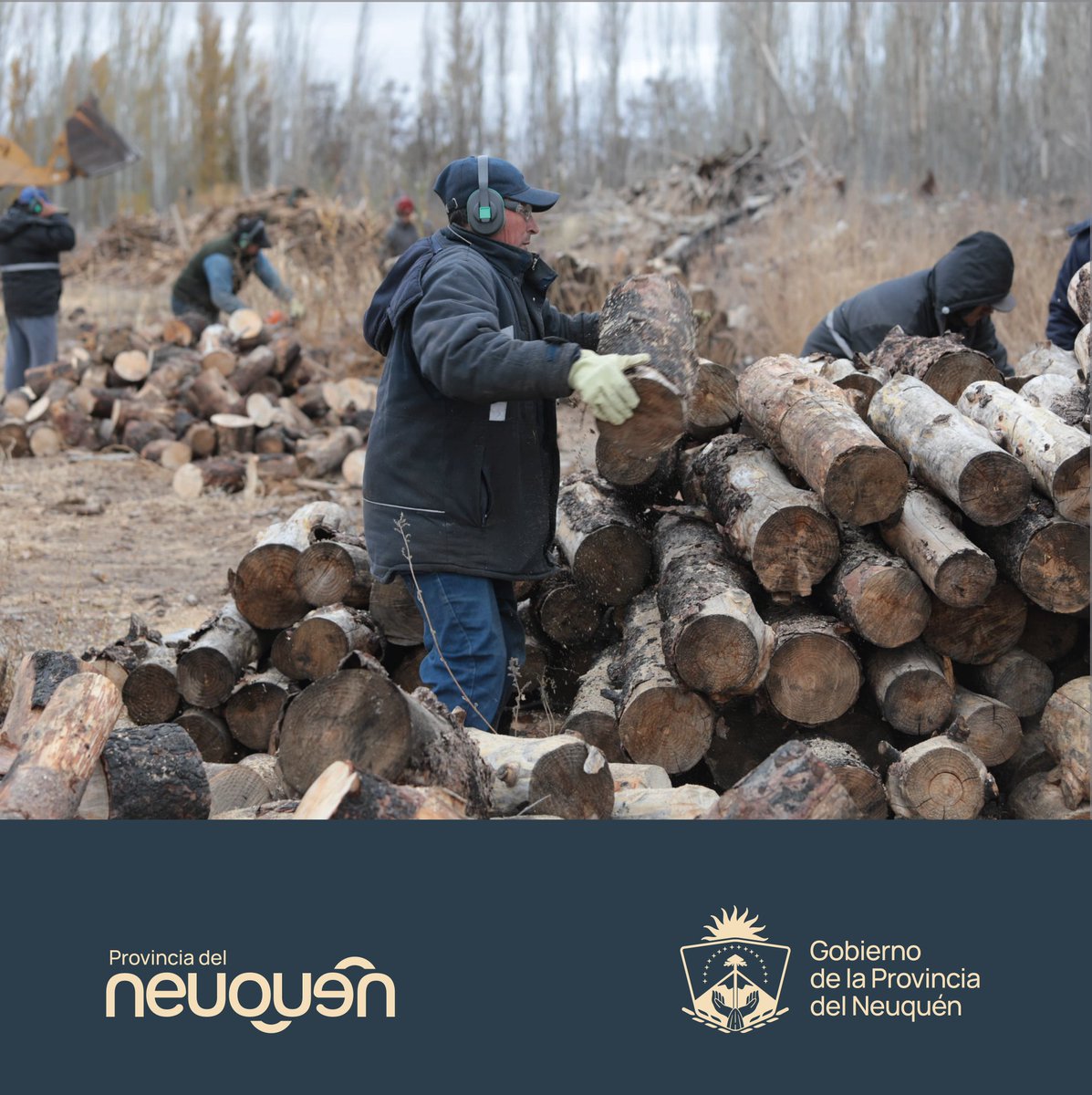 Mingobiernonqn's tweet photo. #PlanCalor Ya se repartieron más de 215 mil kg de leña en barrios de la ciudad de Neuquén a familias que requieren esta prestación.
El operativo a cargo de la Subse de Gobierno es articulado con las comisiones vecinales.
+info: https://t.co/mqGyPcpnPl
#MinisterioGobiernoNeuquén https://t.co/cGpXiuiTGL