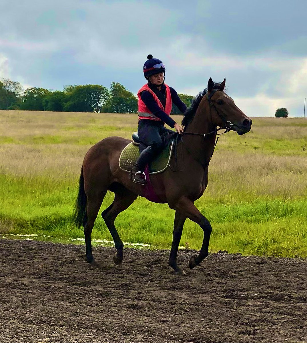 Jim Goldie Racing (@jimgoldieracing) on Twitter photo American Affair’s one of our 6 runners <a href="/HamiltonParkRC/">Hamilton Park</a> on <a href="/SkyBet/">Sky Bet</a> Sunday Series, David Egan rides! Faylaq(Sean Kirrane), Be Proud(Sean), Jordan Electrics(<a href="/amie_waugh90/">Amie</a>), <a href="/SummerstormBlo1/">Summerstorm Bloodstock</a>’s Tafsir(Sean)& Letsbefrank(Amie) also run! American Affair’s one of our 6 runners <a href="/HamiltonParkRC/">Hamilton Park</a> on <a href="/SkyBet/">Sky Bet</a> Sunday Series, David Egan rides! Faylaq(Sean Kirrane), Be Proud(Sean), Jordan Electrics(<a href="/amie_waugh90/">Amie</a>), <a href="/SummerstormBlo1/">Summerstorm Bloodstock</a>’s Tafsir(Sean)& Letsbefrank(Amie) also run!
