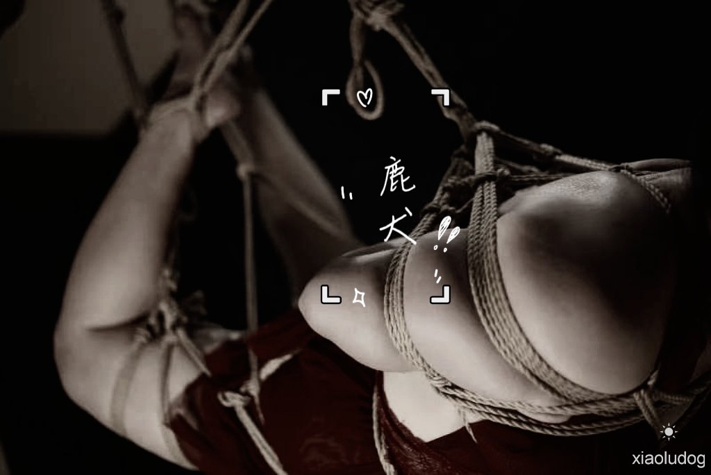 悬上该有的天真
起伏在于喜怒哀乐
松了绳
大不了无人问

绳师： @laohu027 
投稿： @Fengsiyuan https://t.co/TlipA033RU