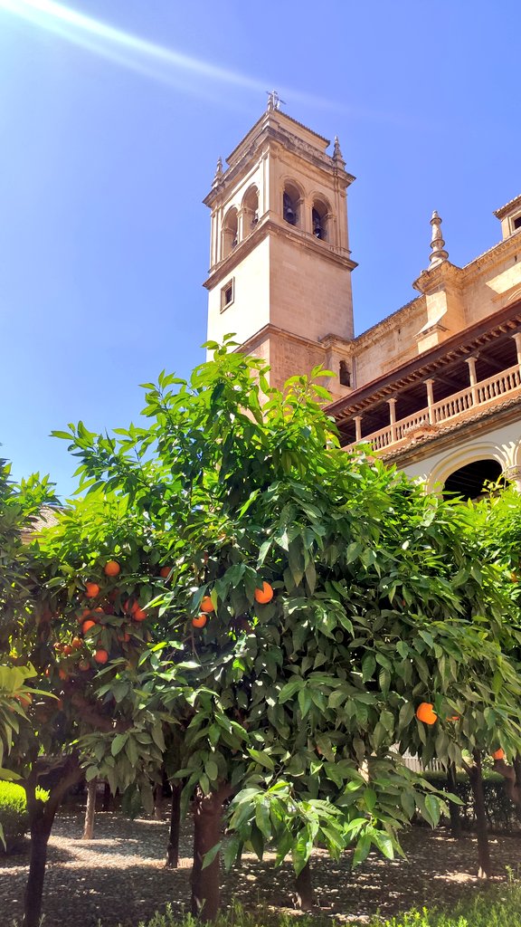 kohantoys's tweet photo. Lo que voy a decir suena a obviedad, pero es *imposible* pensar una Arquitectura sin el medio ambiente.
Todos los edificios de Granada están llenos de naranjos y limoneros. 
Están en todos lados y todos los patios, en cada rinconcito de sombra hay un perfume cítrico delicioso. https://t.co/BjP4GqXVJw