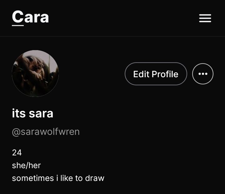 lenaskzorel's tweet photo. all this ai bullsh*t is pissing me off atp it's infuriating how so many companies are growing way too comfy with it and don't realize the danger of it, anyway i made a profile on cara so feel free to follow π #caraproject https://t.co/P0AqfF9Aje