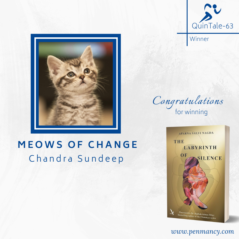 penmancy's tweet image. #QuinTale-63 Results

Help us congratulate -🤝👏
🥉 The Girl in the White Saree by Chidrupi P
🥈 The Last Stop by Sharda Mishra
🥇 Meows of Change by Chandra Sundeep

#WritingPrompt: penmancy.com/quintale-63/

Next prompt up tomorrow! Stay tuned. 
#flashfiction #amwriting