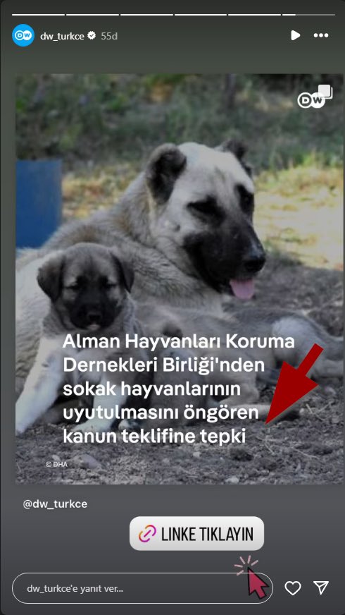 Kendi ülkelerinde başıboşluğu bitiren ülkelerden ülkemize dayatılan bu ikiyüzlülüğe karşı devletin tavrını resmi olarak koymasını istiyoruz! #SıfırBaşıboşKöpek