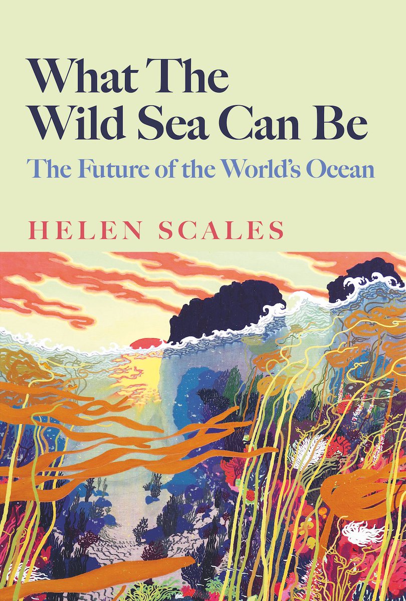 HS (@helenscales) on Twitter photo Next week, my next book is released in the UK.
I explore hopes and fears for the future of the ocean, and show that there is still so much to fight for.
🐧🦑🐟🦭🦈🐋🐡🐙
Pre-order a copy from my page at <a href="/bookshop_org_UK/">Bookshop.org</a> and you'll support <a href="/BeASeaChanger/">Sea-Changers</a>
uk.bookshop.org/p/books/what-t… Next week, my next book is released in the UK.
I explore hopes and fears for the future of the ocean, and show that there is still so much to fight for.
🐧🦑🐟🦭🦈🐋🐡🐙
Pre-order a copy from my page at <a href="/bookshop_org_UK/">Bookshop.org</a> and you'll support <a href="/BeASeaChanger/">Sea-Changers</a>
uk.bookshop.org/p/books/what-t…