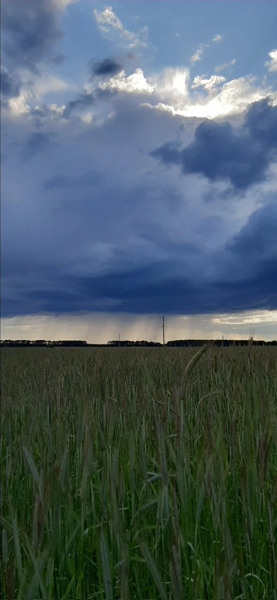 Lebt ihr ländlich und in der Stadt ?