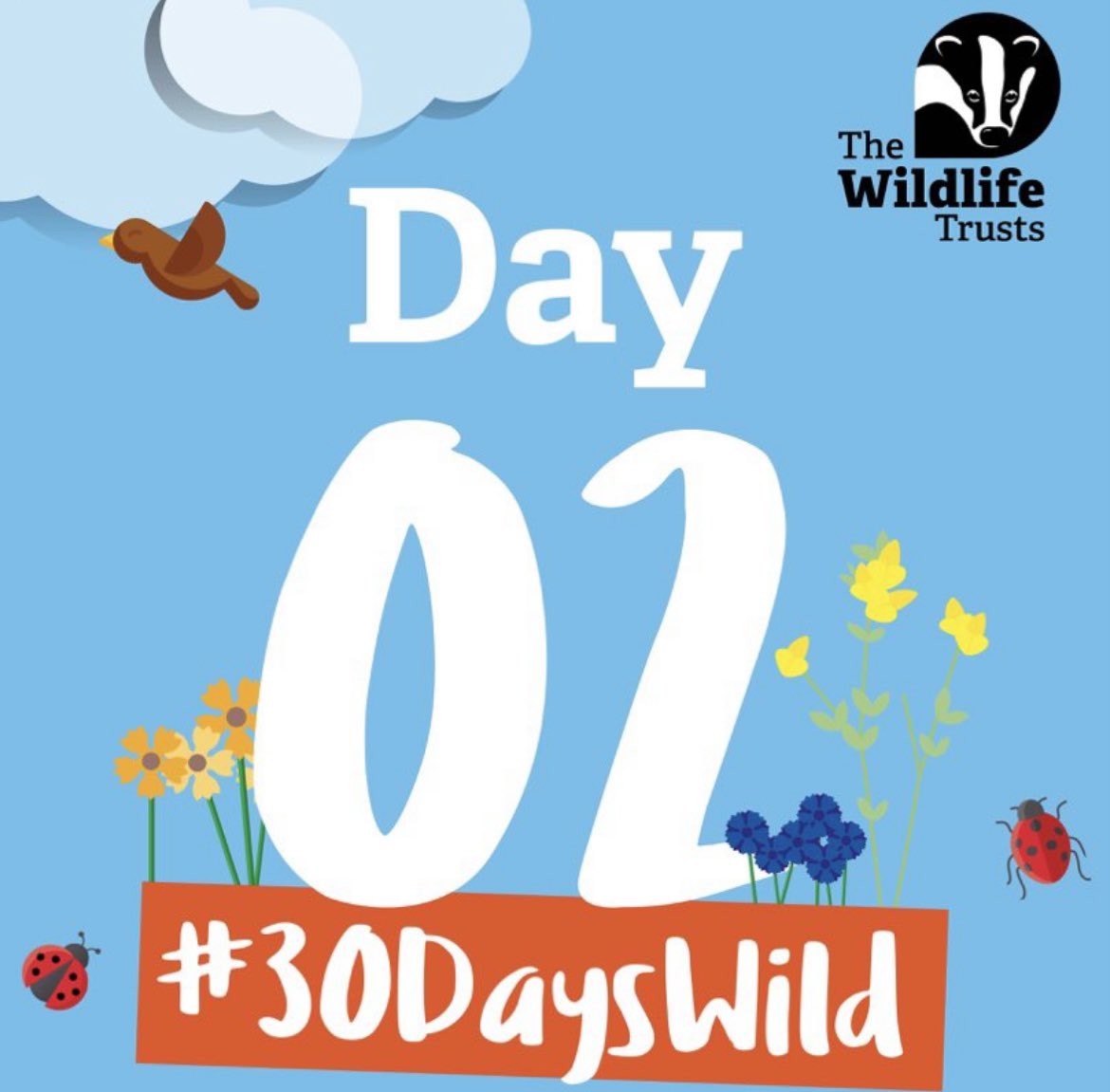 WhitburnSci's tweet photo. Day 2 of Whitburn goes wild. Tree hugging from Emme, Edie and Alex. Go and try it yourself! @WildlifeTrusts @30DaysWild https://t.co/yPs0XaazVG