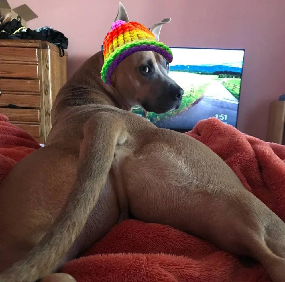kainrtd's tweet photo. @KookCapitalLLC Join the community Kook @DogWifPrideGay 
Community bullish

6rQwDmkWAM9YoPHjuQH4cMb5KQj8TUVTtcUYmPbopump https://t.co/Q9Yus1QnIy