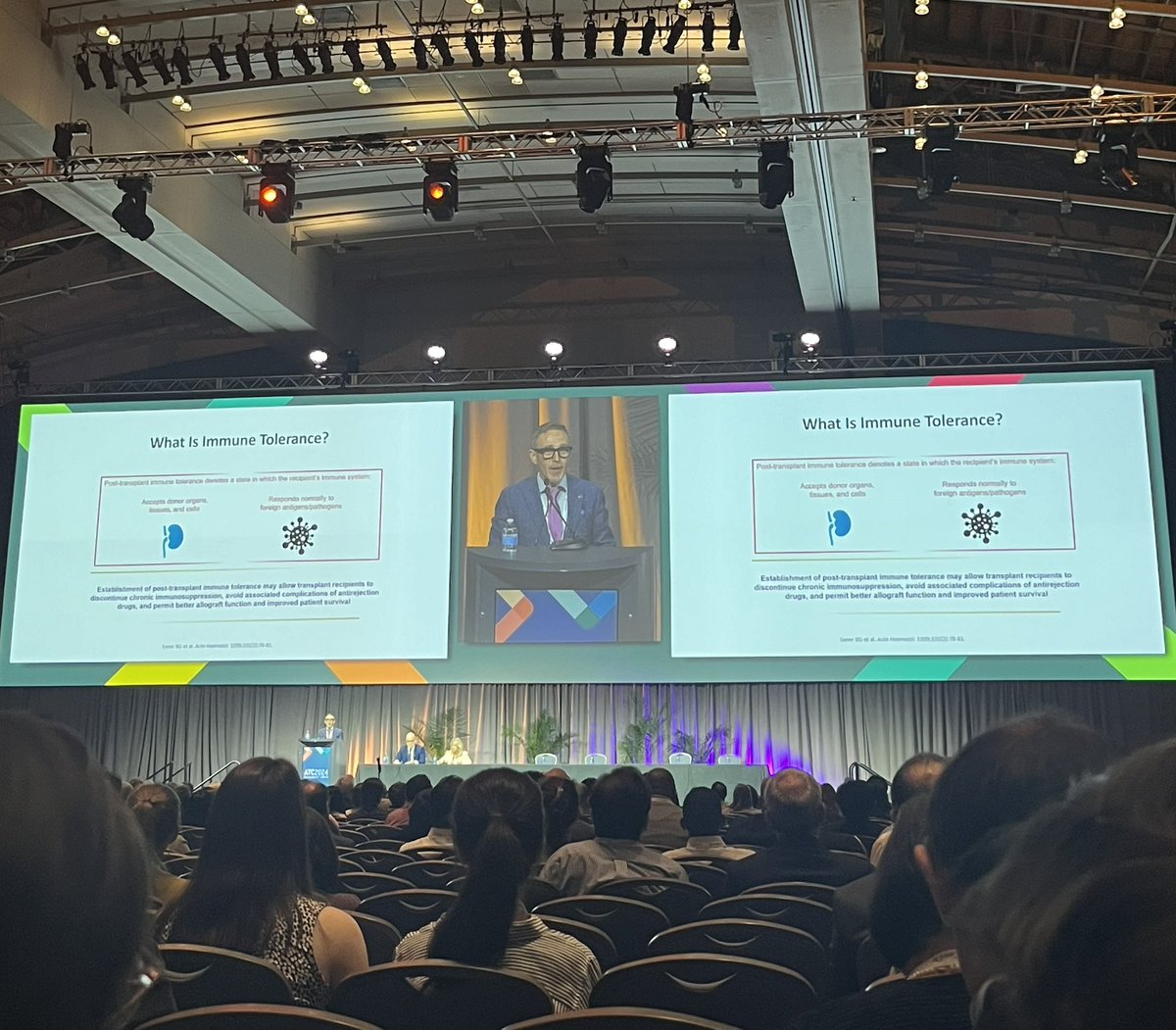 Amna Daud tweet media