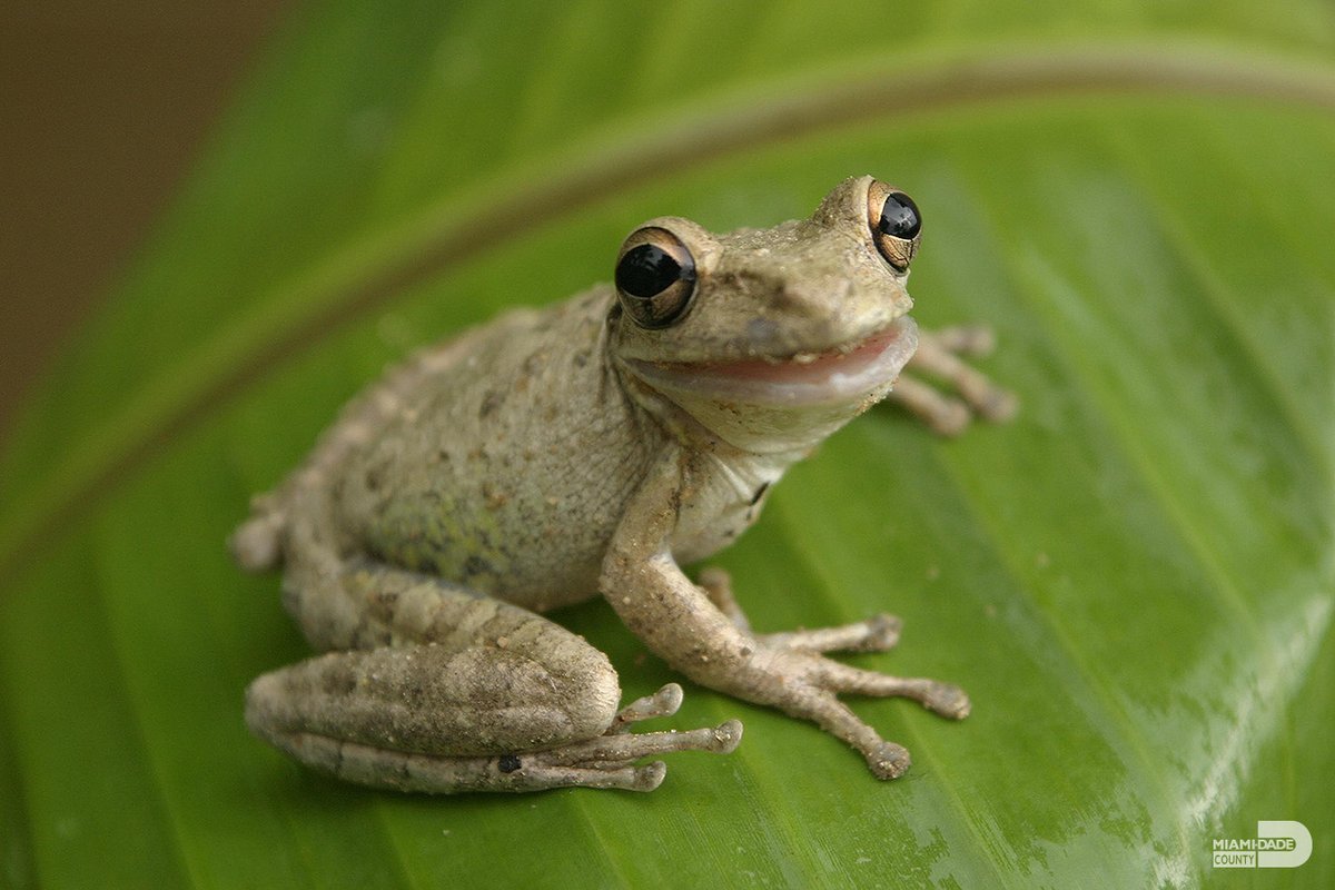 Felt cute. Might delete later. Happy Sunday to everyone in #OurCounty!