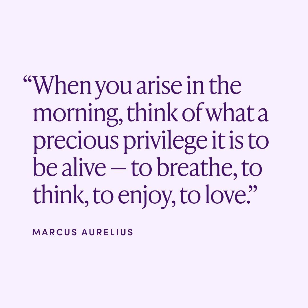 💜 💜 💜