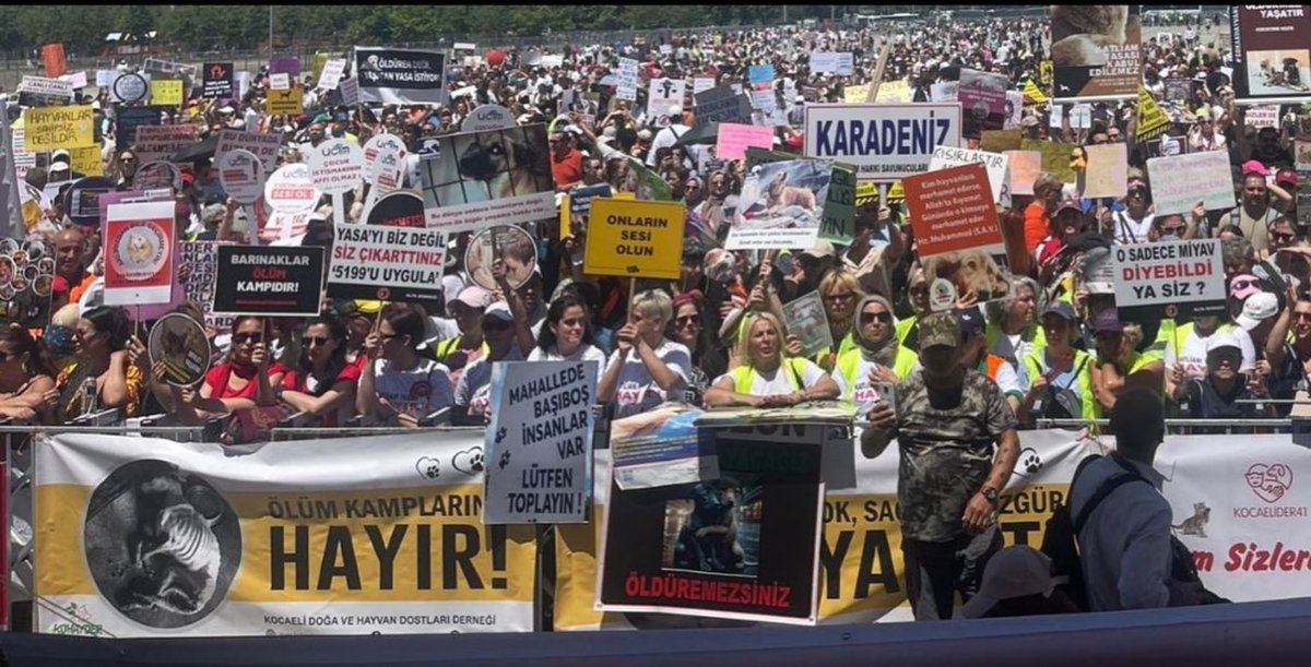 #SokaktayımYanındayım