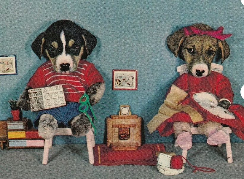 birdhousebooks's tweet photo. Vintage Postcard Dressed Dogs Unused Kruger Card Sitting by Fireplace | eBay https://t.co/0UwE96lbYM #vintagepostcards #vintagedogs #postcards #ephemera #eBay https://t.co/pDKbGPK7fT