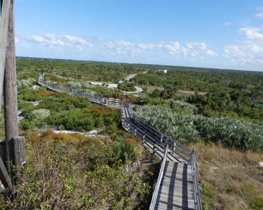 Kathleen Walls tweet media