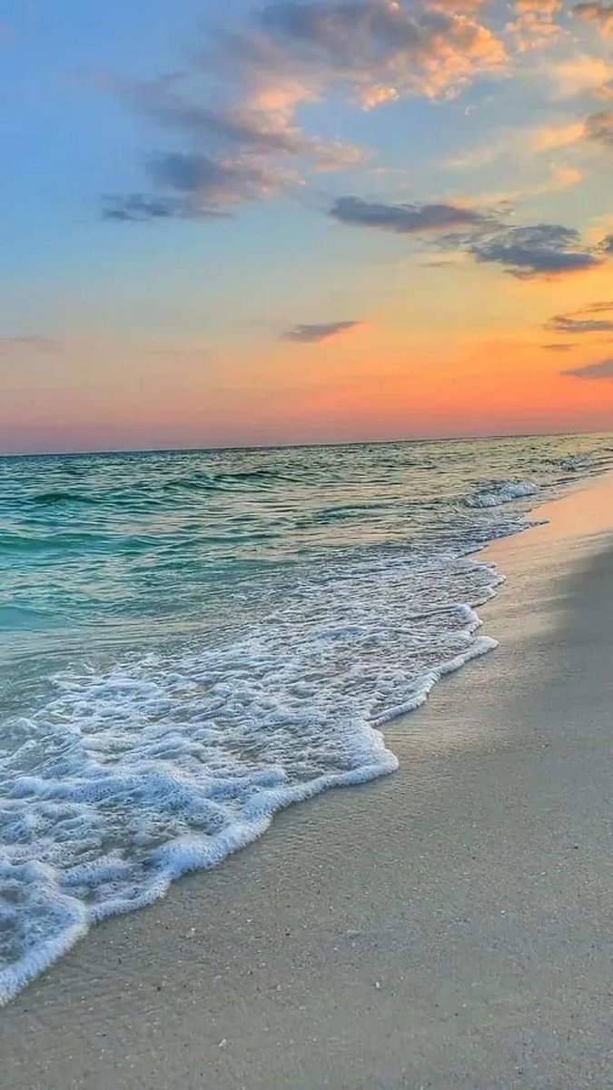 jules ౨ৎ tweet media