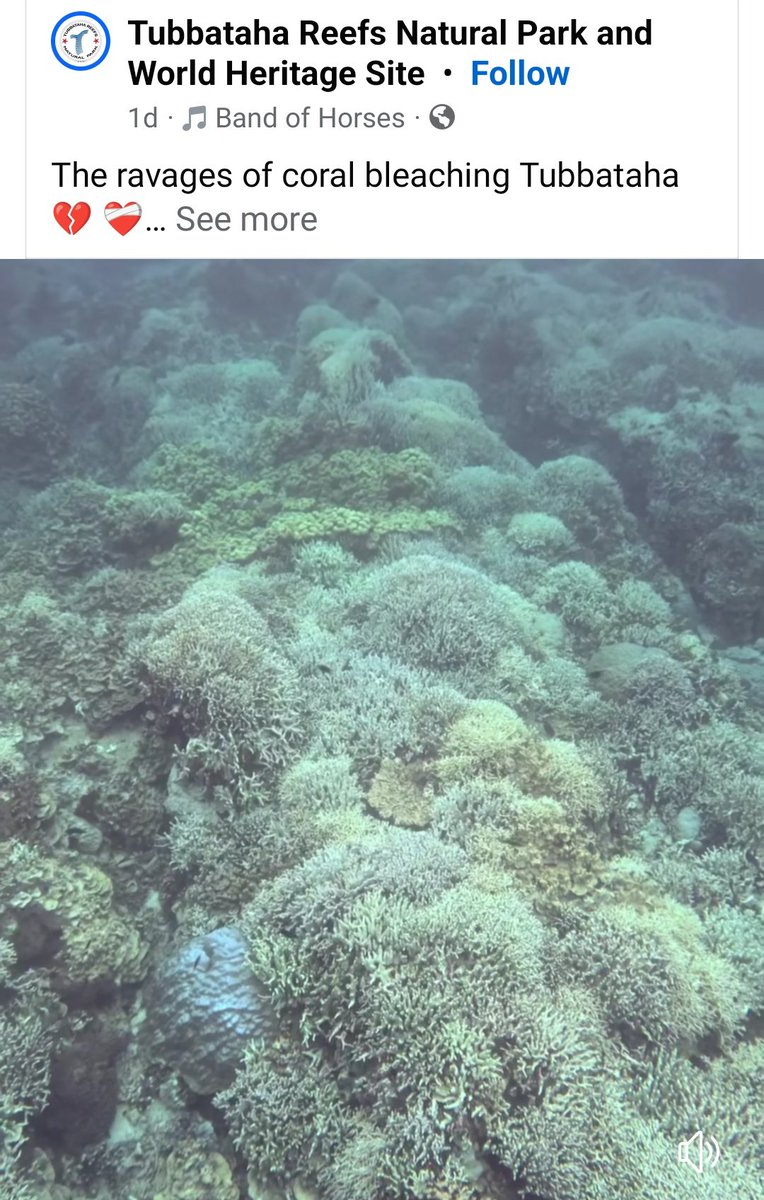 Mangingisda 🇵🇸🇵🇸🇵🇸 tweet media