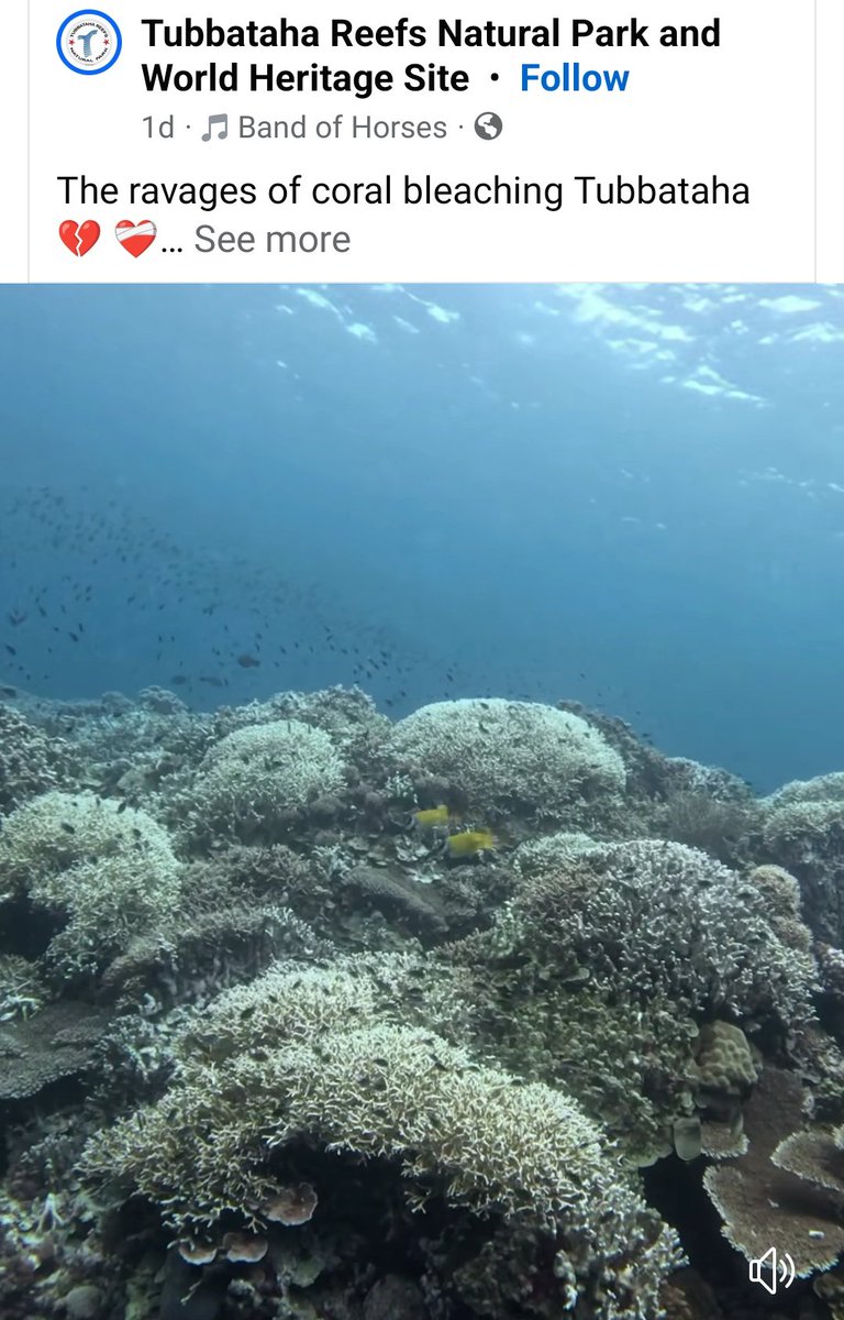 Mangingisda 🇵🇸🇵🇸🇵🇸 tweet media