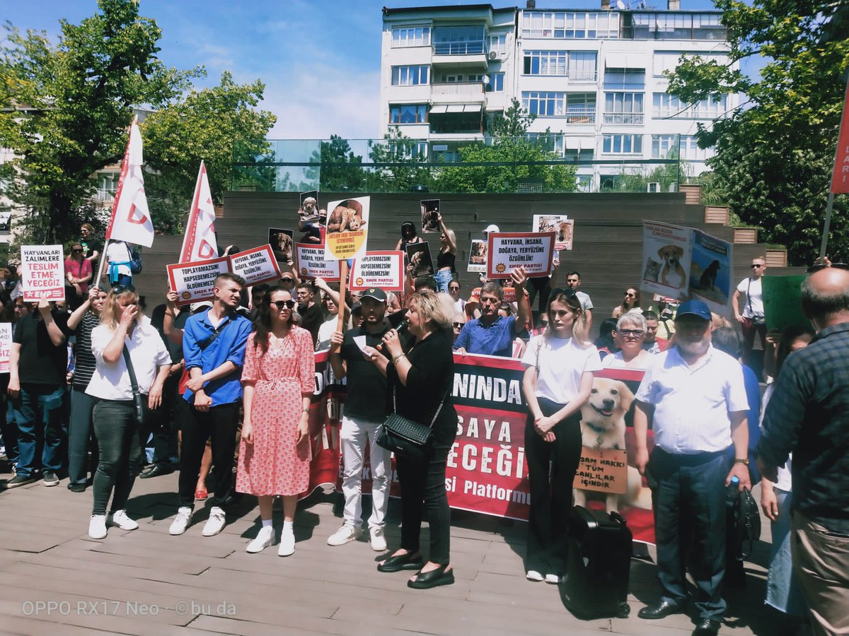 AvGulcinYapici's tweet photo. Eskişehir'de Emek ve Demokrasi platformunun Hayvan katliamına hayır dediği basın aciklamasinda Baromuz Eskişehir hayvanları koruma derneği ve tum Eskişehir hayvanseverleri adına bizde ordaydik Sesimizi gür olarak cikarip katliam yasasına hayır dedik 

Eşzamanlı Türkiye eyleminde biz bu vebale ortak olmayacağız dedik 

Kisirlastir aşılat yerinde yaşat tek çözüm bu 
@Yenisehirlioglu
@RTErdogan
#SokakHayvanlarıYalnızDeğildir