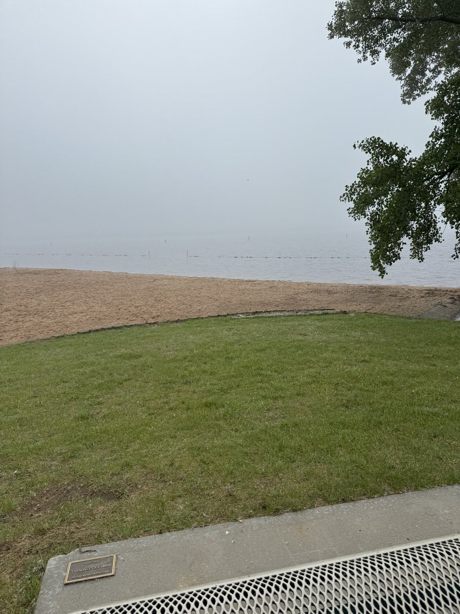 Cloudy morning run.  Had a running a partner this morning. #runner  #SundayMotivations  #stayingfit #grandpup #running