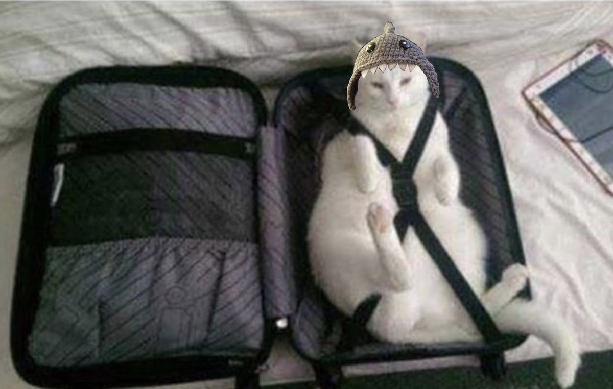 <a href="/PunchingCat/">Punch Cat</a> Guess the bags I am holding.
Hint: Cat is a Shark