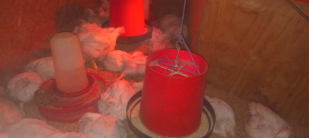 No Farming No Future