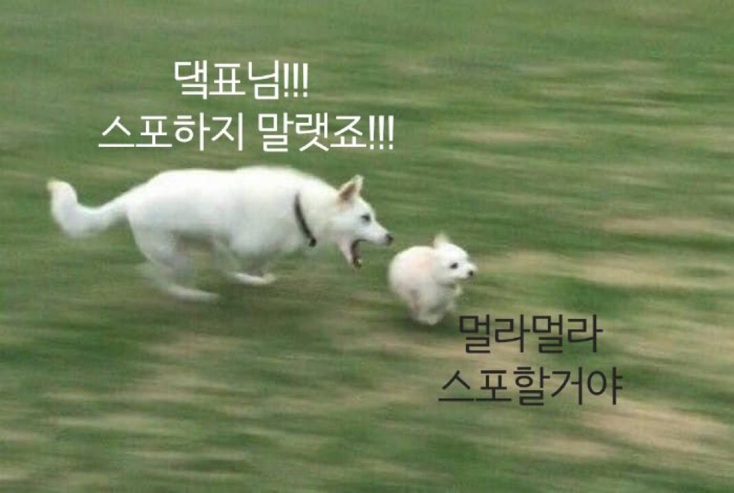 대표님이 멈추시지 않으시길래 저희도 스포하러 왔습니다🫡
에리님들 질문받습니다🫶

#저희도_스포합니다 #큥대표님_눈감으세요