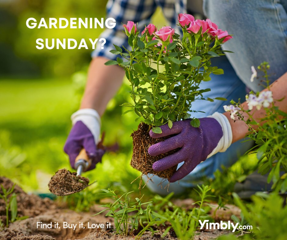 YimblyShop's tweet photo. This Gardening Sunday, it’s time to get your hands dirty and transform your outdoor space. From tools to plants and everything in between, we've got what you need to create your dream garden. 🌻🌿
Get ready to grow with Yimbly. Coming soon! 🚀 https://t.co/W6oAvkDAlC