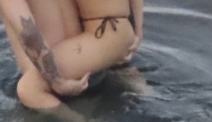 查尔罗斯圣 tweet media