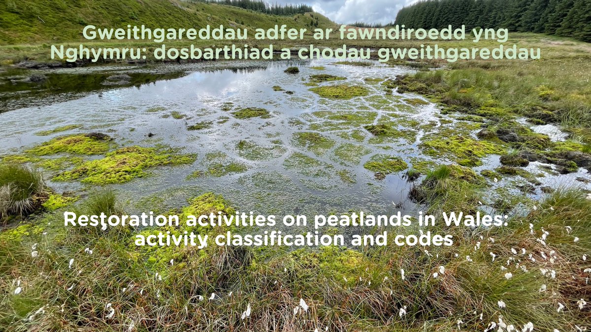 peatlandcymru's tweet photo. New resource for practitioners on #WorldPeatlandsDay!
A bilingual Glossary that helps standardise the national restoration reporting and evaluation. With 100+ restoration actions to date, it could also interest students and the public.
https://t.co/iKuE7tPFQd
#WalesPeatlandAction https://t.co/ta3bPTUy3t