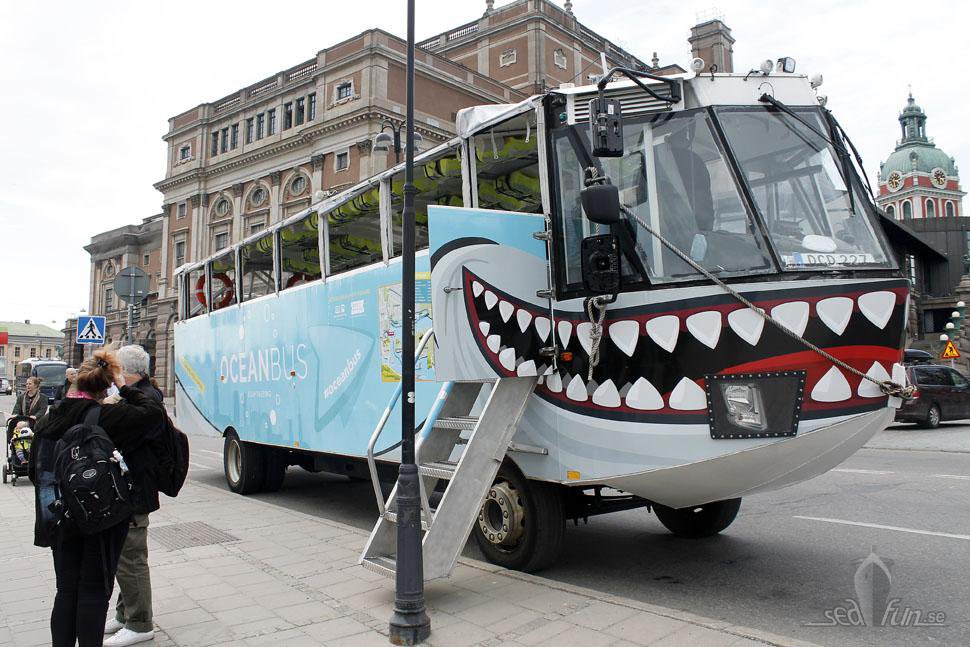 EricavonE's tweet image. I’m always a bit thrown when this bus passes me in sthlm. Like you turn your head on your bike and it’s 1.5m from your face. But I do feel that more public transport should be animal themed, going forward