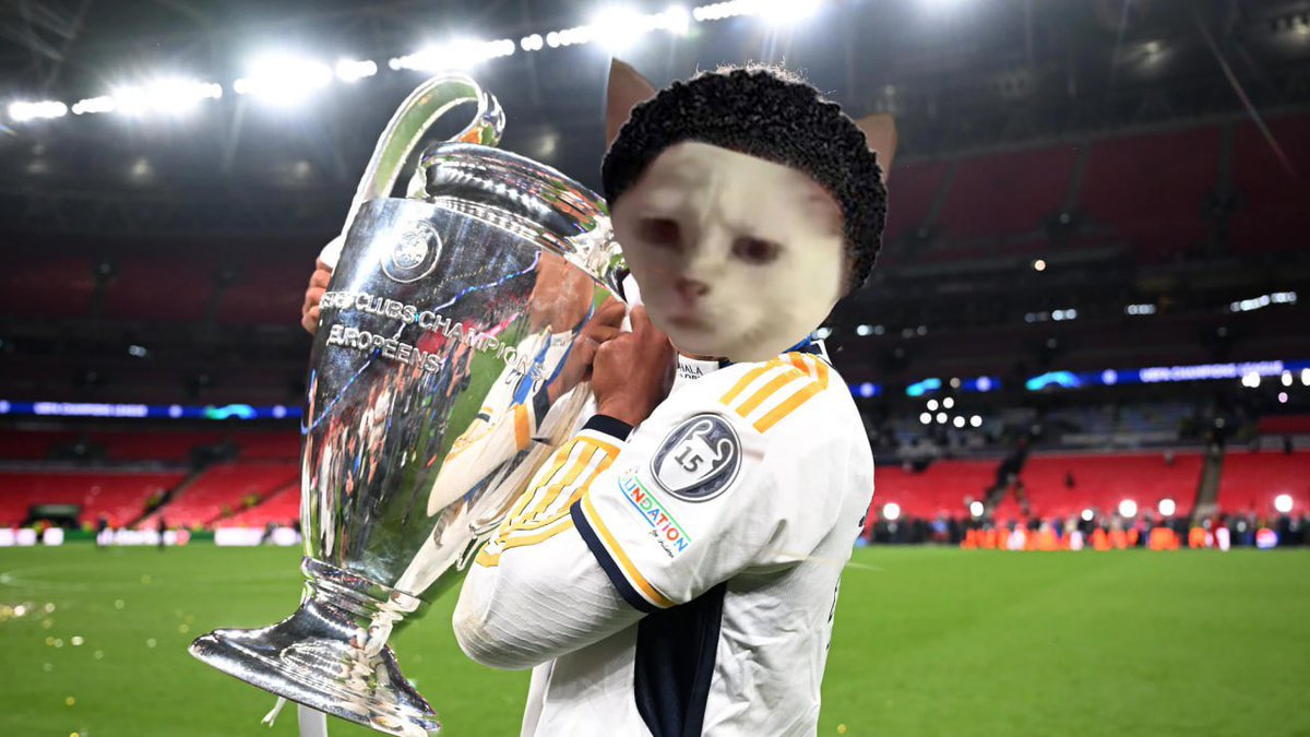 Bruhcatonsol's tweet photo. when you realise there’s only 1 winner bruh https://t.co/6ythxrLclV