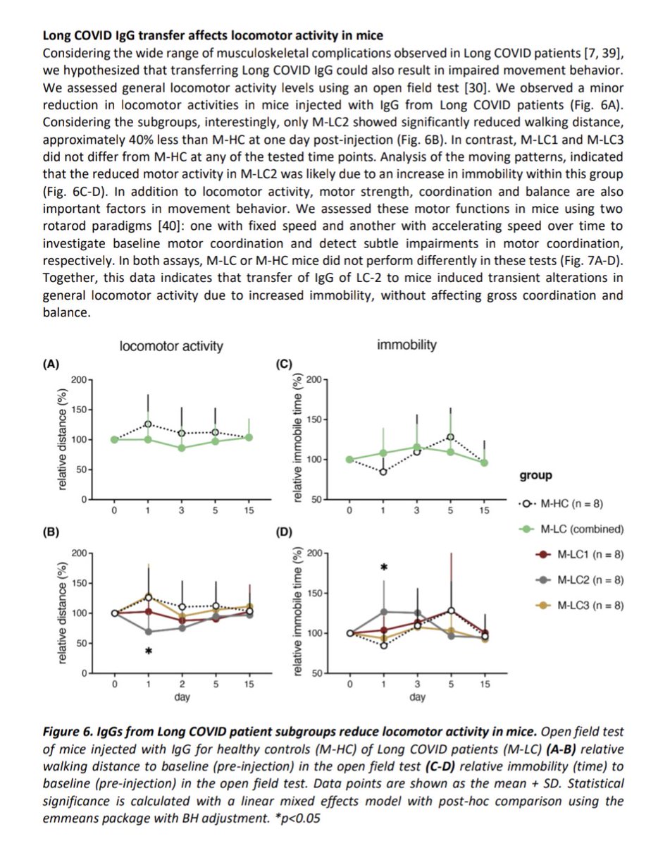 Patrick Heizer tweet media