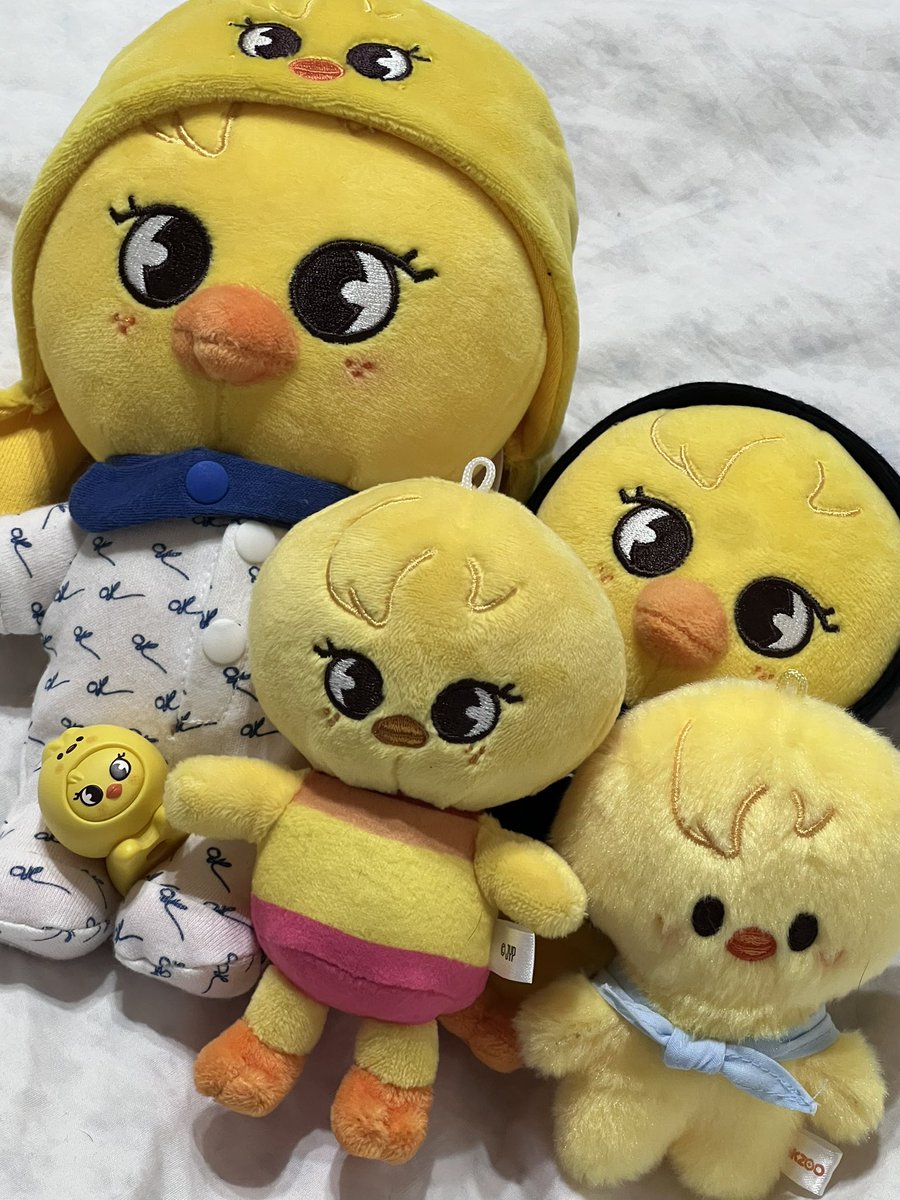 2cats_unb's tweet photo. 뽁아리 뽁아뤼 버쮸~ https://t.co/4lVTHT28iW