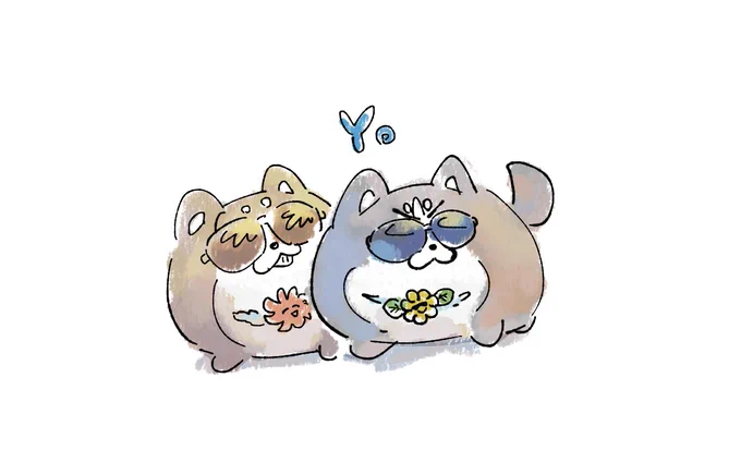 サングラス買いたい 