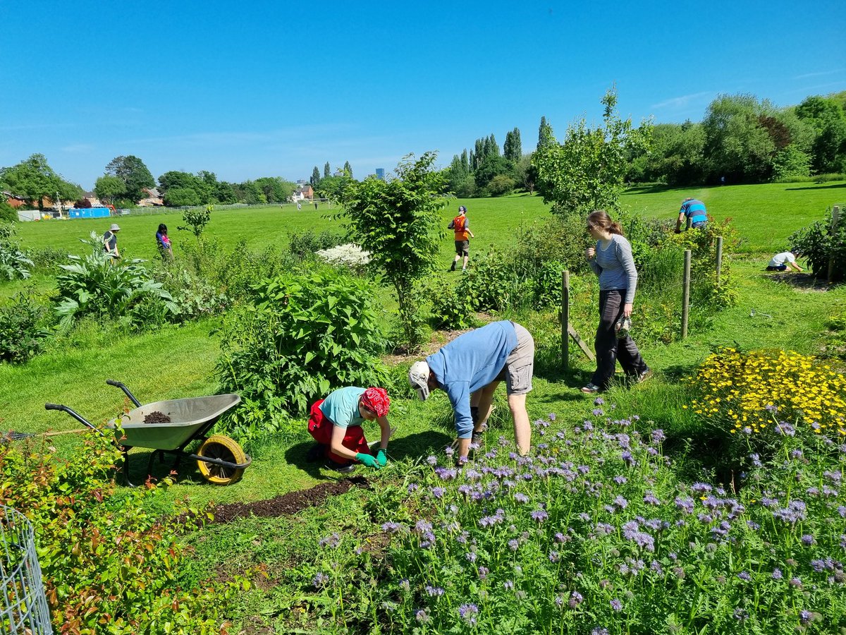 Every weekend we spend time caring for #PebbleMillPlayingFields #ForestGarden. Our constant efforts are definitely being rewarded. Recommendation for June... spend some time here. #STCommunityFund