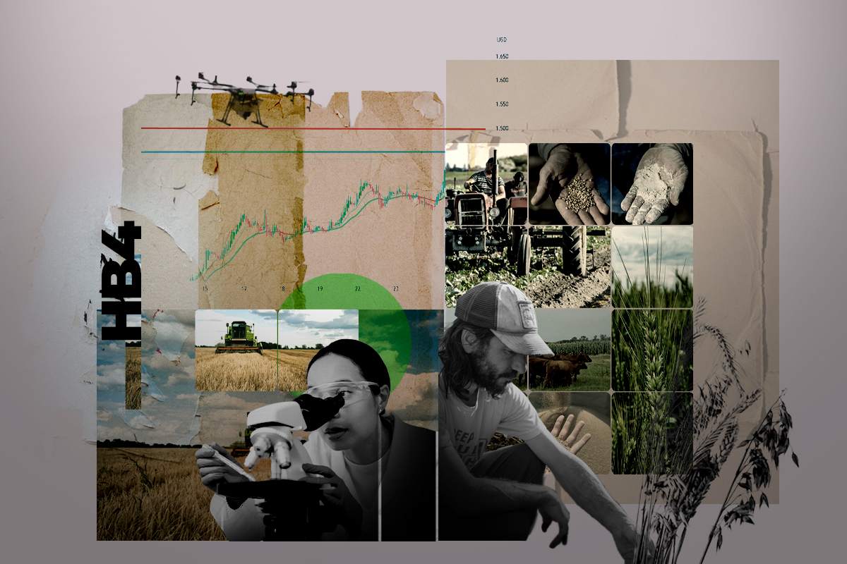 Tierra_Viva_'s tweet photo. "El trigo transgénico no es una necesidad productiva", afirman quienes cultivan trigo agroecológico en Argentina, obteniendo mejores rindes y cuidando la salud y el ambiente. En cambio, el trigo HB4 consolida un modelo que enferma y endeuda.
✍️Nahuel Lag
➡️https://t.co/vmnXgbDZHS https://t.co/jMC2lfndRe