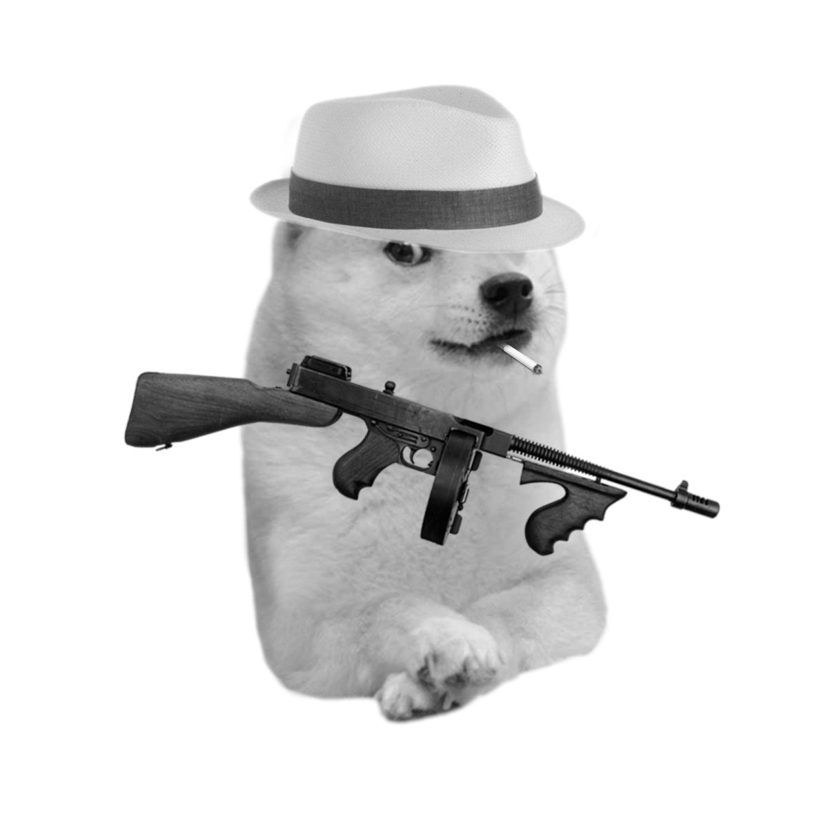 BOGE Raids tweet media