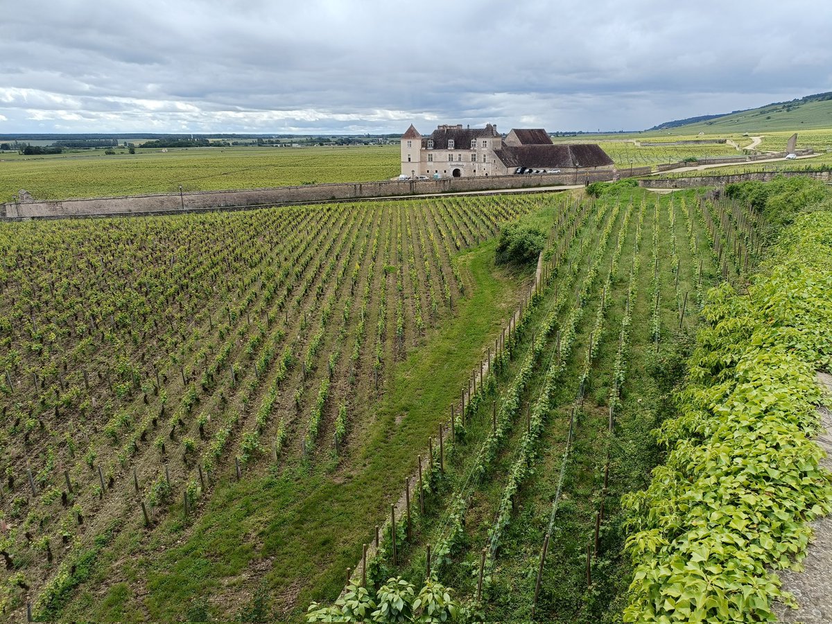 GiacomoDanda's tweet photo. Tappa Beaune 😍 https://t.co/9POCtLFUWB