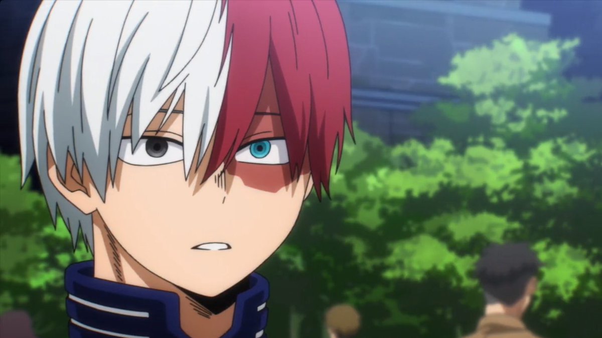 daily todoroki tweet media
