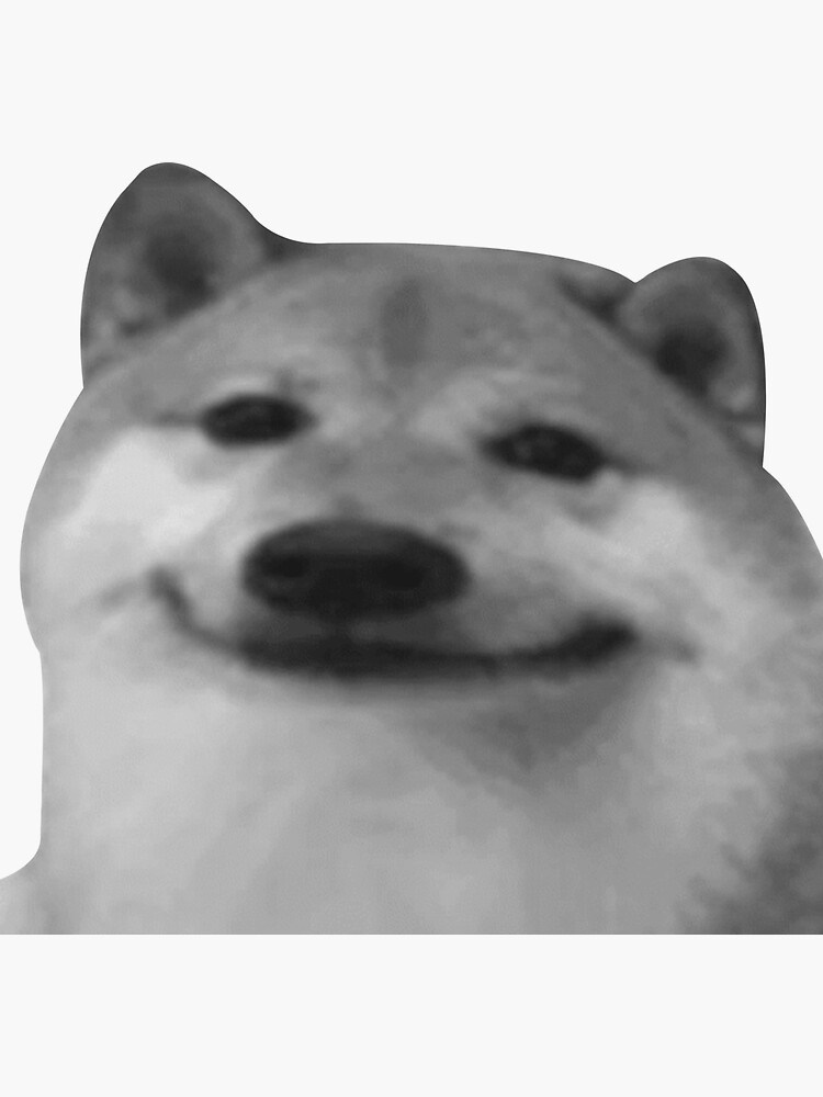 BOGE Raids tweet media