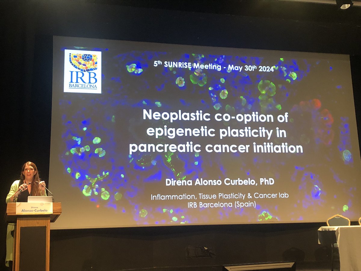 Another amazing talk about pancreatic cancer initiation and epigenetic plasticity ! Un real placer y esperamos la próxima publicación @DirenaAC ☺️