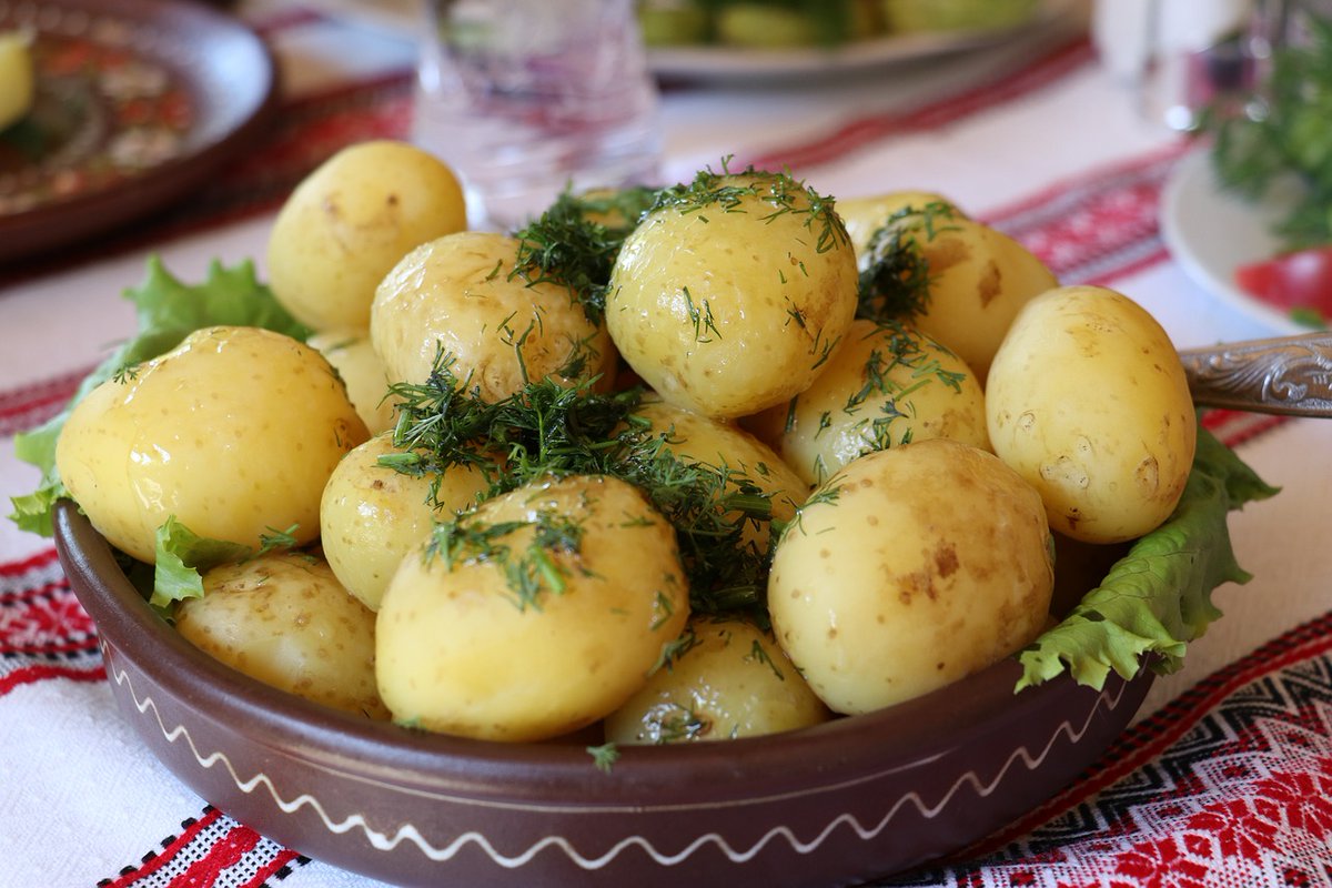 marta07771923's tweet photo. Młode pyrki. 🥔🥔🥔 /uwielbiam/
#ziemniaki #kartofle
#dlugiWeekend https://t.co/tvExLa7SSE