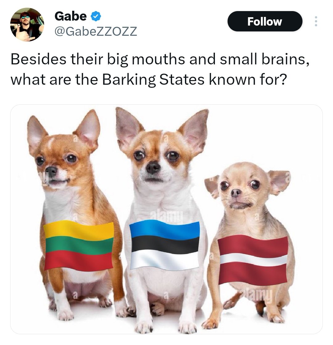 Kadi🇪🇪🌻 tweet media