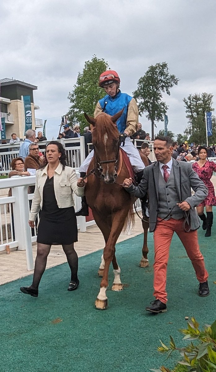 seenthestars's tweet photo. Prix du Jockey Club #FastTracker
@RacingPost 
@rpbloodstock https://t.co/BrJQqqD63f