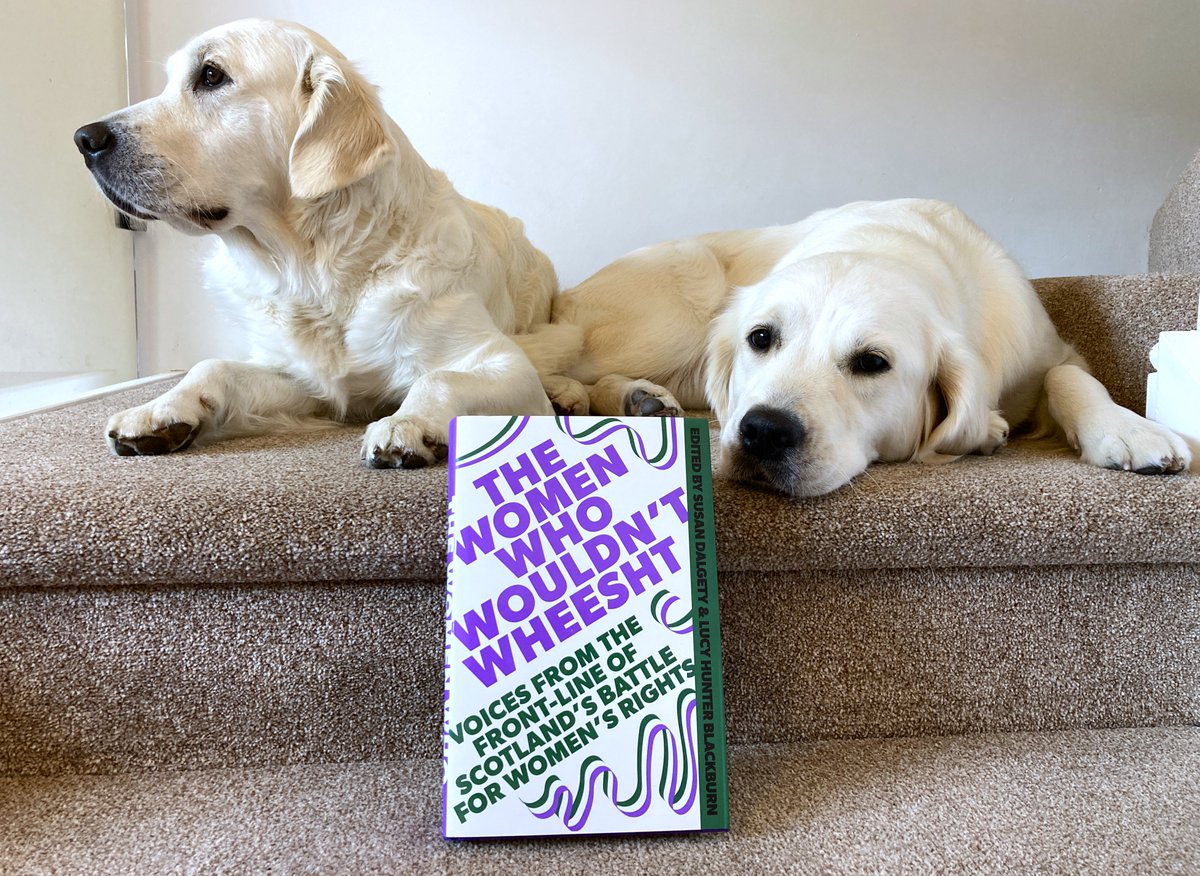 M 💚🤍💜 🏴󠁧󠁢󠁳󠁣󠁴󠁿 tweet media