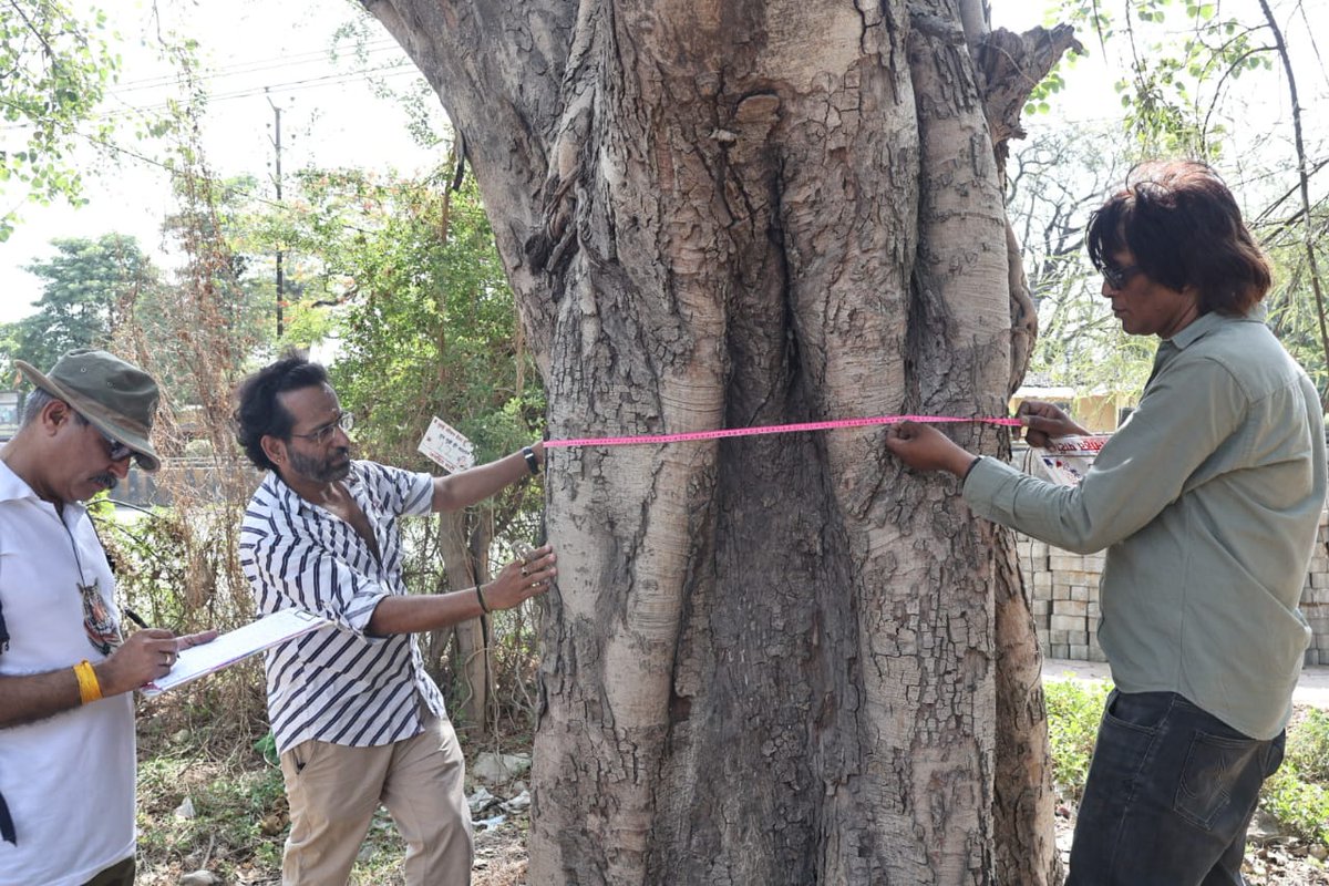 Abhikhandekar1's tweet photo. In Indore city, a large number of citizens have come together to save old trees that are being chopped for 'development'.Its a praiseworthy movement &amp; can be called 'Indore's Chipko Andolan-2024'.
@IndoreTnv we support this campaign &amp; urge authorities to save trees. https://t.co/H7icfeCPu7