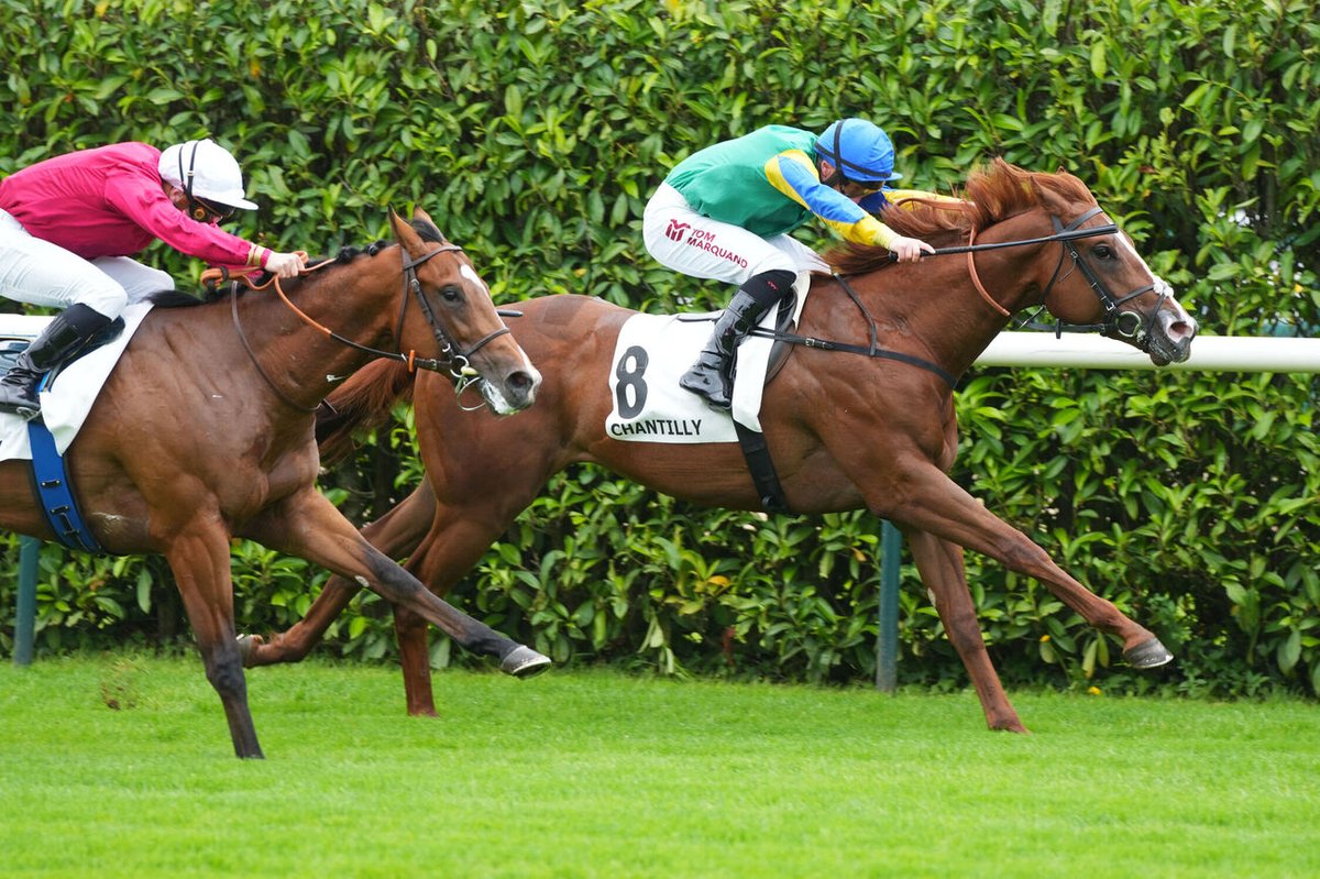 almracing's tweet photo. 🇫🇷🟢🔵🟡 WINNER 🟡🔵🟢🇫🇷 A day to remember with Itsatenfromlen @TomMarquand @lemosdesouza1 winning the Prix d'Orgemont on Qatar Prix du Jockey Club day @fgchantilly &amp; Convoy 2nd in the Listed Prix le Fleche.  Time for a glass 🥂 https://t.co/lG1YGvtUJE